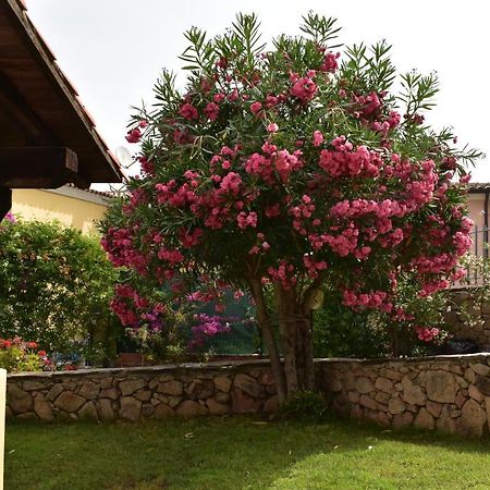 Splendida Villetta Tavolara 1 Vaccileddi エクステリア 写真