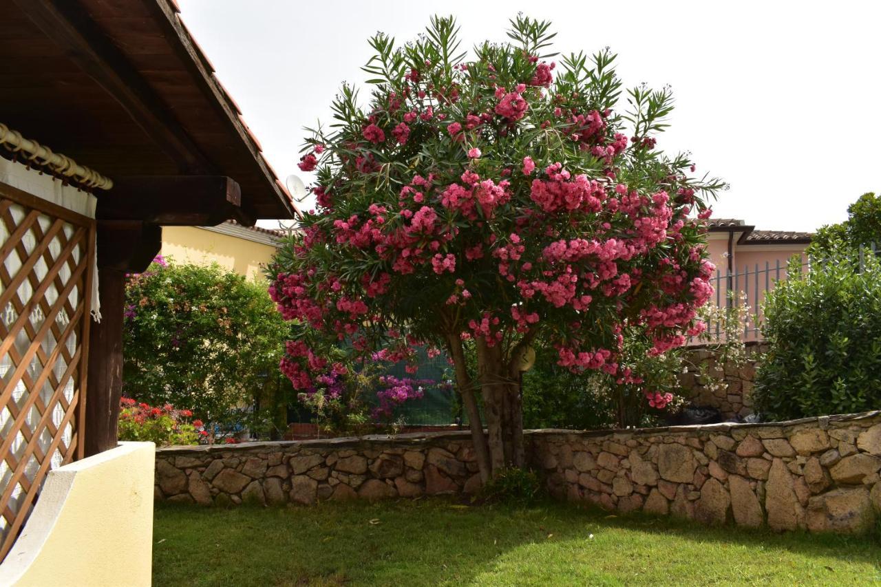 Splendida Villetta Tavolara 1 Vaccileddi エクステリア 写真
